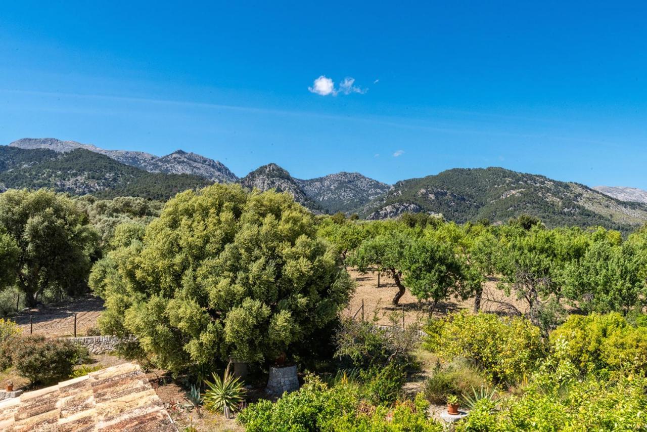 Finca Son Arnau Selva  Exterior foto